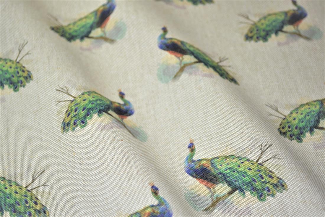 Natural Peacock 'All Over' Canvas