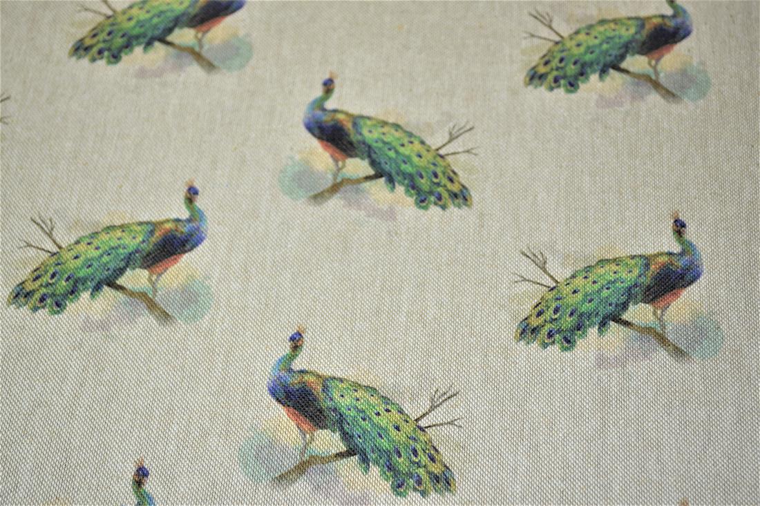 Natural Peacock 'All Over' Canvas