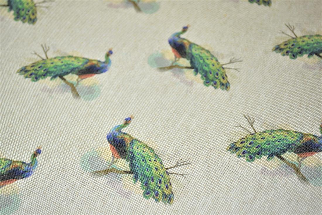 Natural Peacock 'All Over' Canvas
