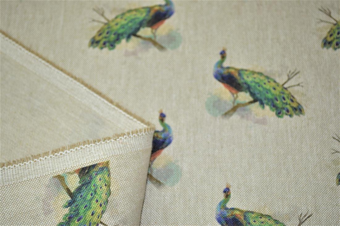 Natural Peacock 'All Over' Canvas