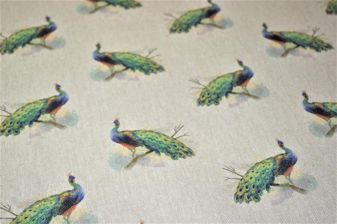 Natural Peacock 'All Over' Canvas