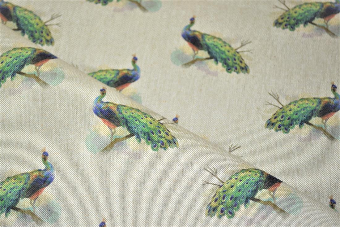 Natural Peacock 'All Over' Canvas