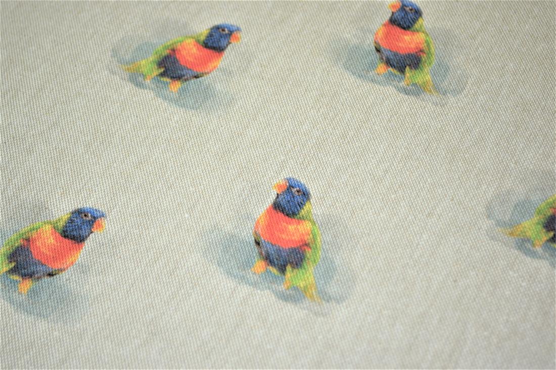 Natural Bird All Over Printed Canvas Fabric