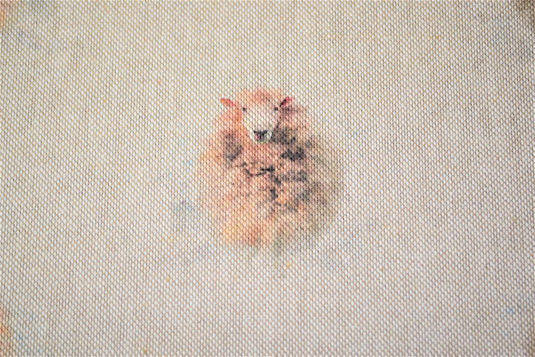Natural Sheep All Over