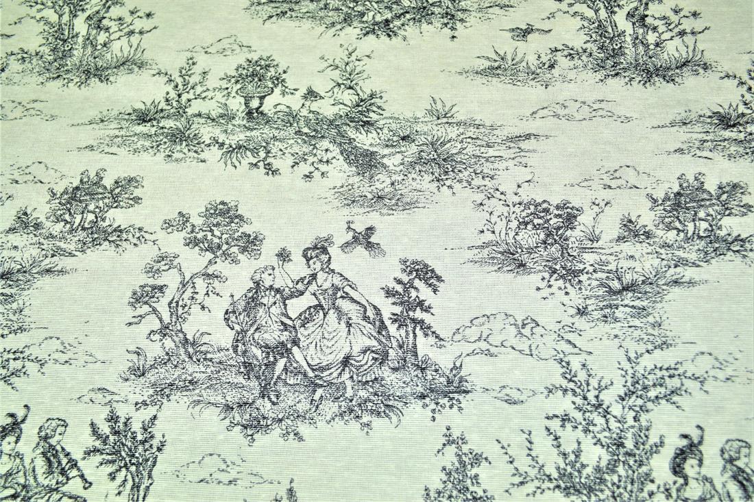 Toile Printed Digital Canvas Fabric