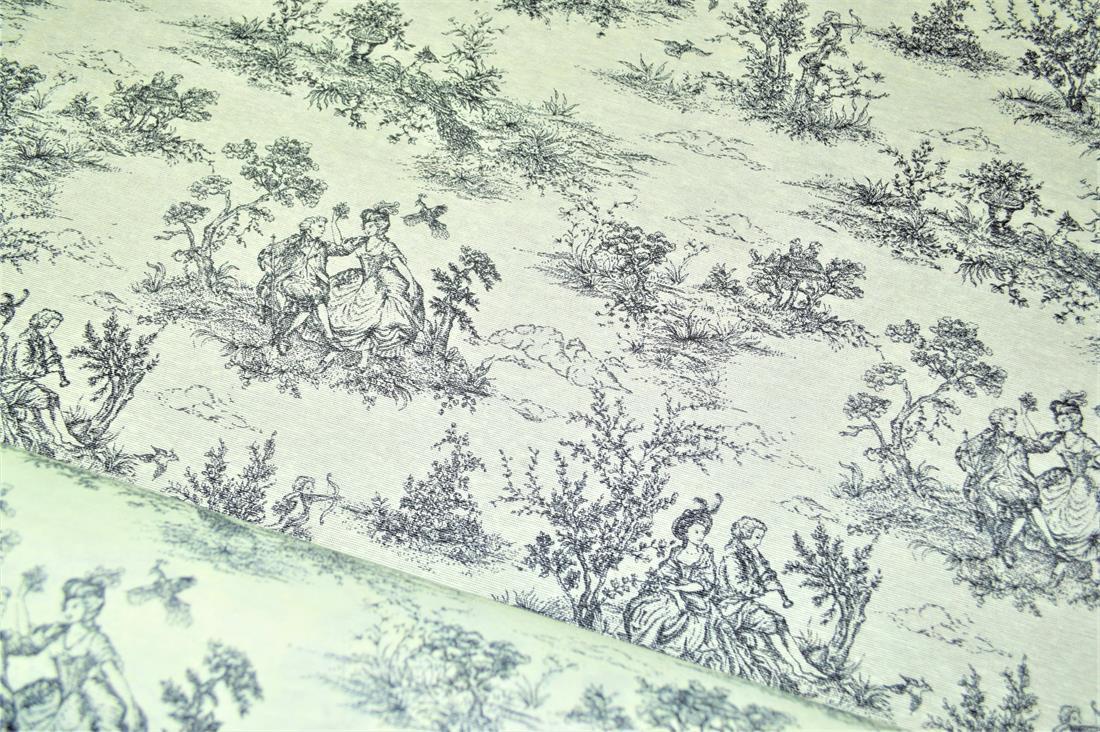 Toile Printed Digital Canvas Fabric