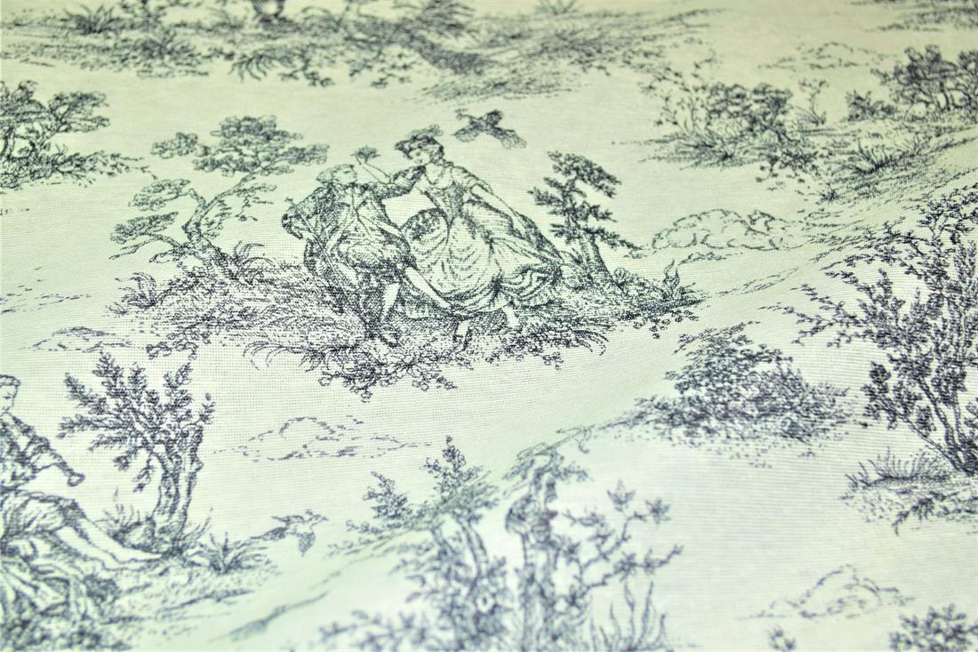 Toile Printed Digital Canvas Fabric
