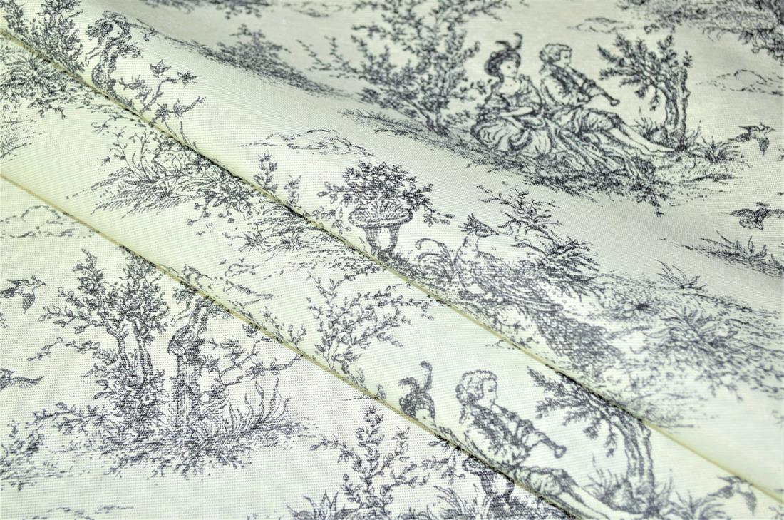 Toile Printed Digital Canvas Fabric