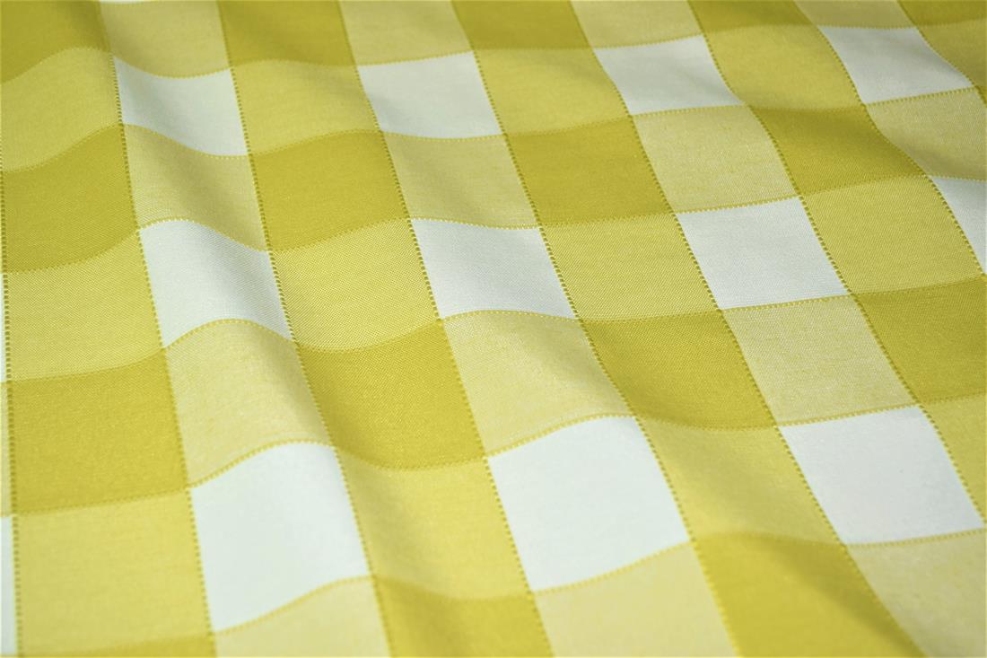 Gingham Canvas Printed Fabric