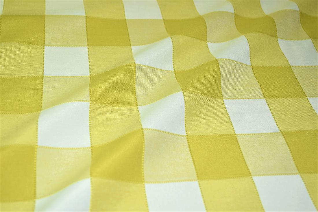 Gingham Canvas Printed Fabric