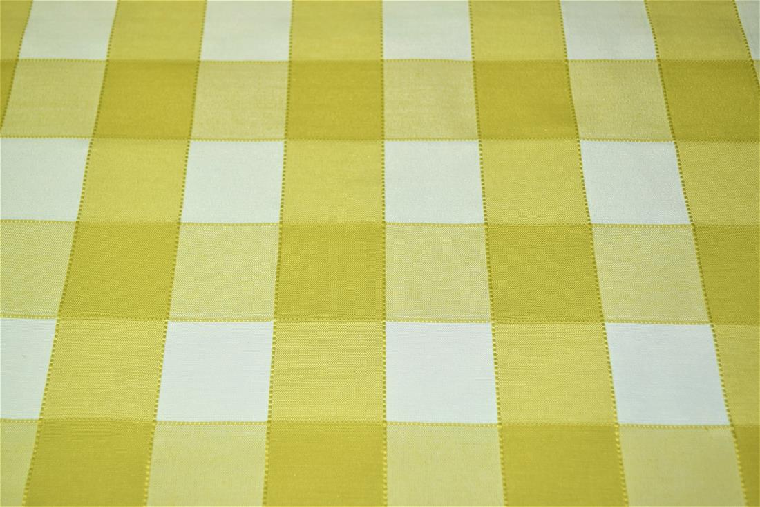 Gingham Canvas Printed Fabric