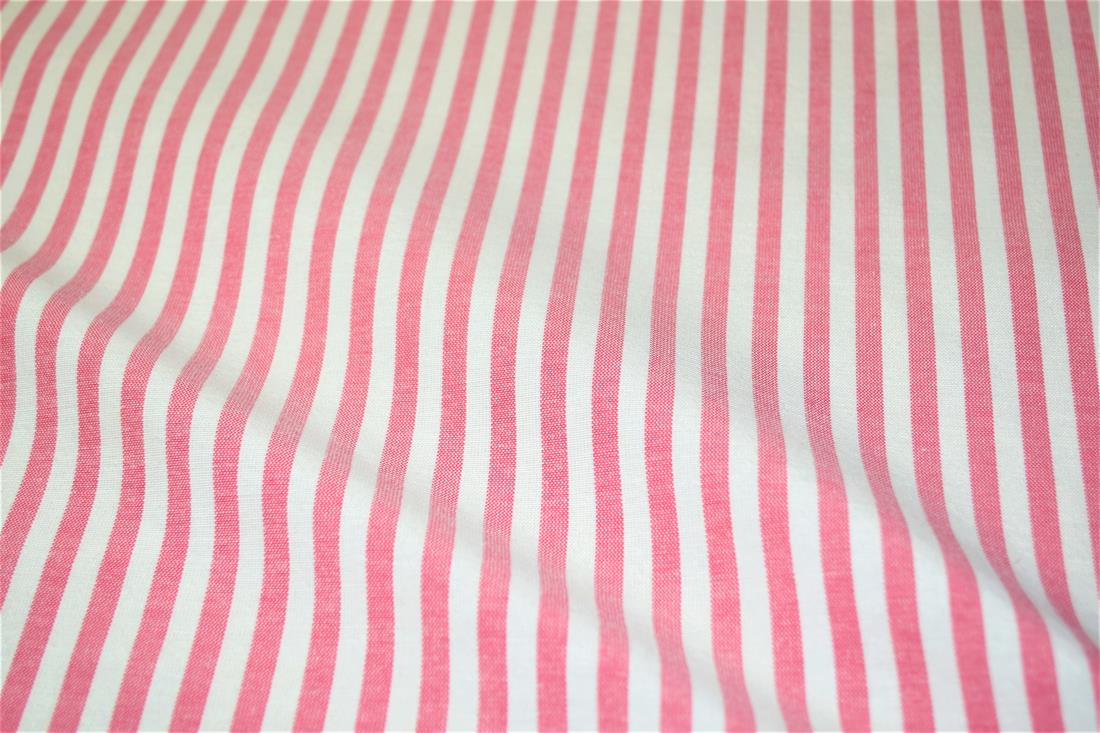 Printed Thin Stripes Canvas Fabric
