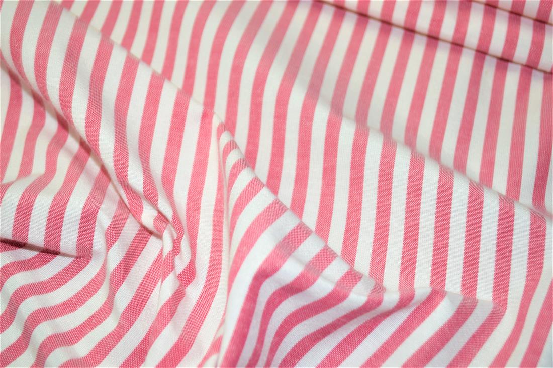 Printed Thin Stripes Canvas Fabric