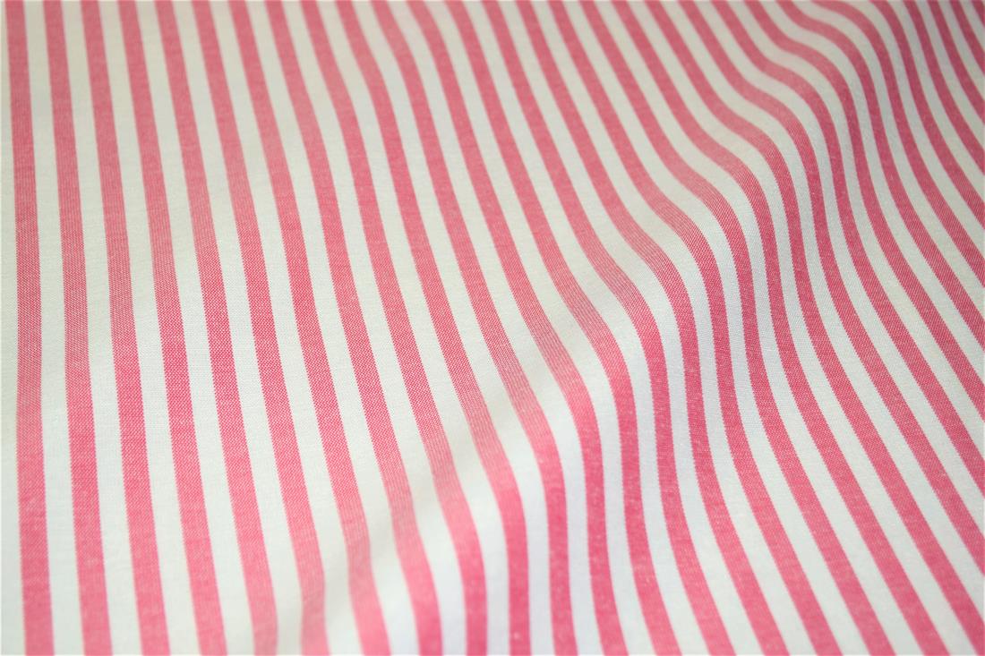Printed Thin Stripes Canvas Fabric