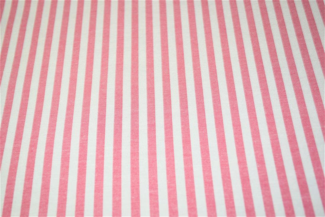Printed Thin Stripes Canvas Fabric