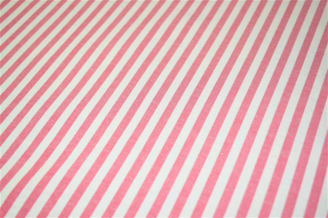 Printed Thin Stripes Canvas Fabric