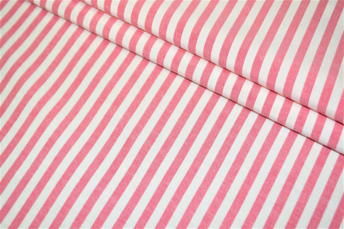 Printed Thin Stripes Canvas Fabric