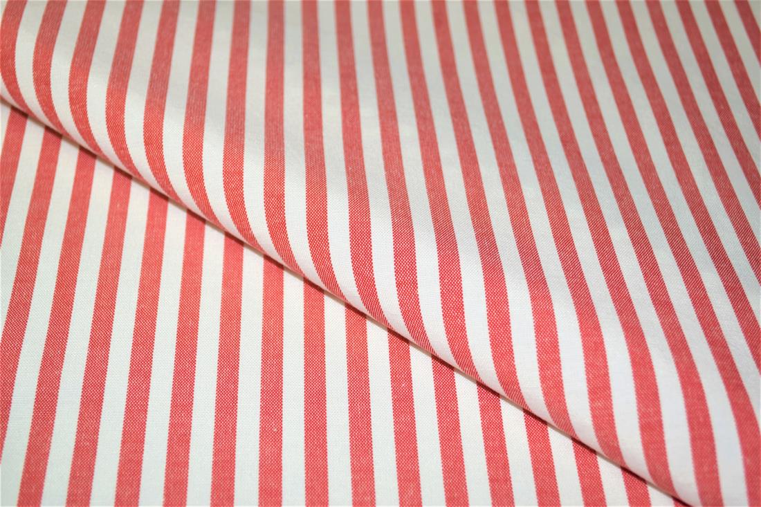 Printed Thin Stripes Canvas Fabric
