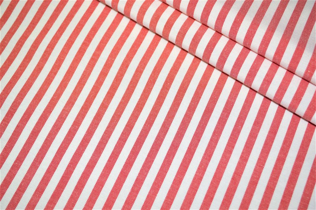 Printed Thin Stripes Canvas Fabric