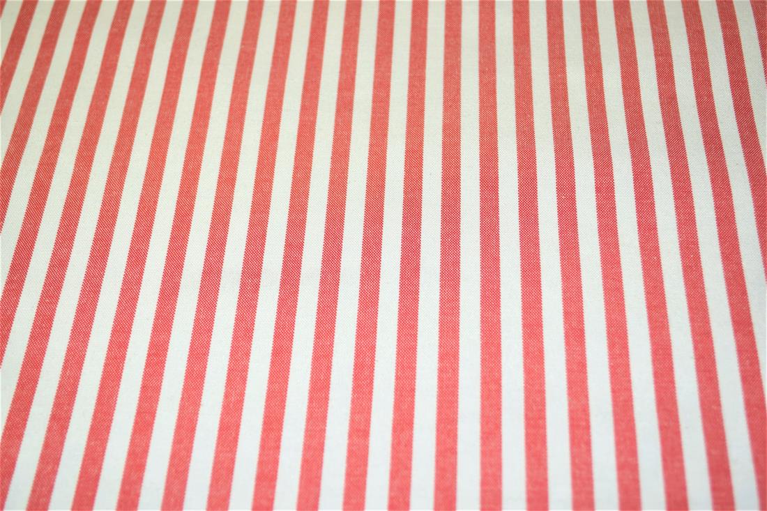 Printed Thin Stripes Canvas Fabric