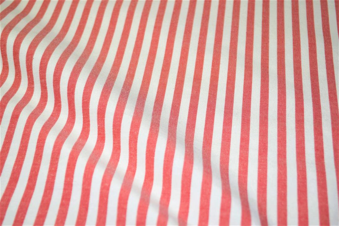 Printed Thin Stripes Canvas Fabric