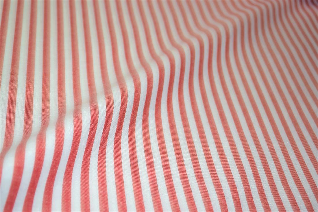 Printed Thin Stripes Canvas Fabric
