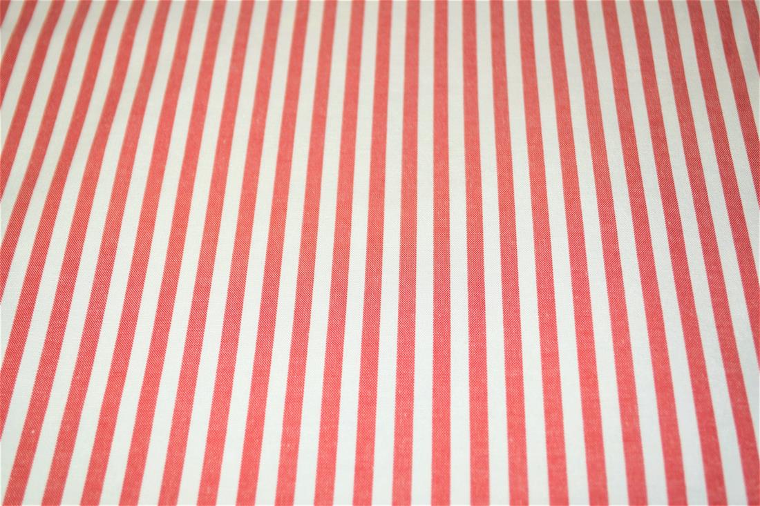 Printed Thin Stripes Canvas Fabric