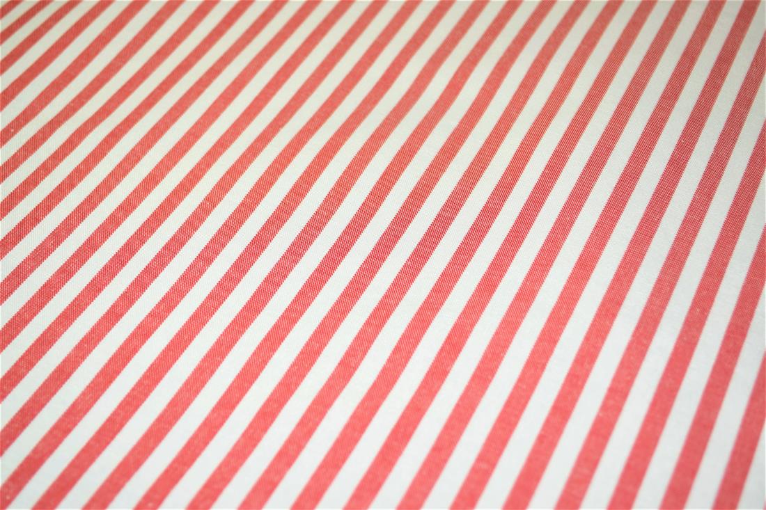 Printed Thin Stripes Canvas Fabric