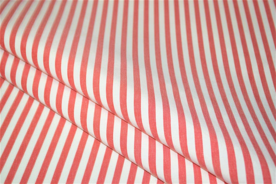 Printed Thin Stripes Canvas Fabric