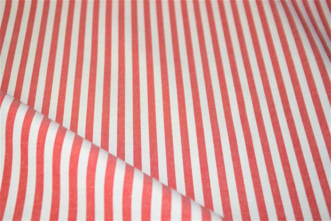 Printed Thin Stripes Canvas Fabric
