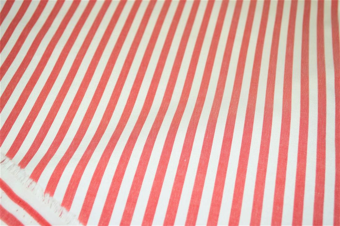 Printed Thin Stripes Canvas Fabric