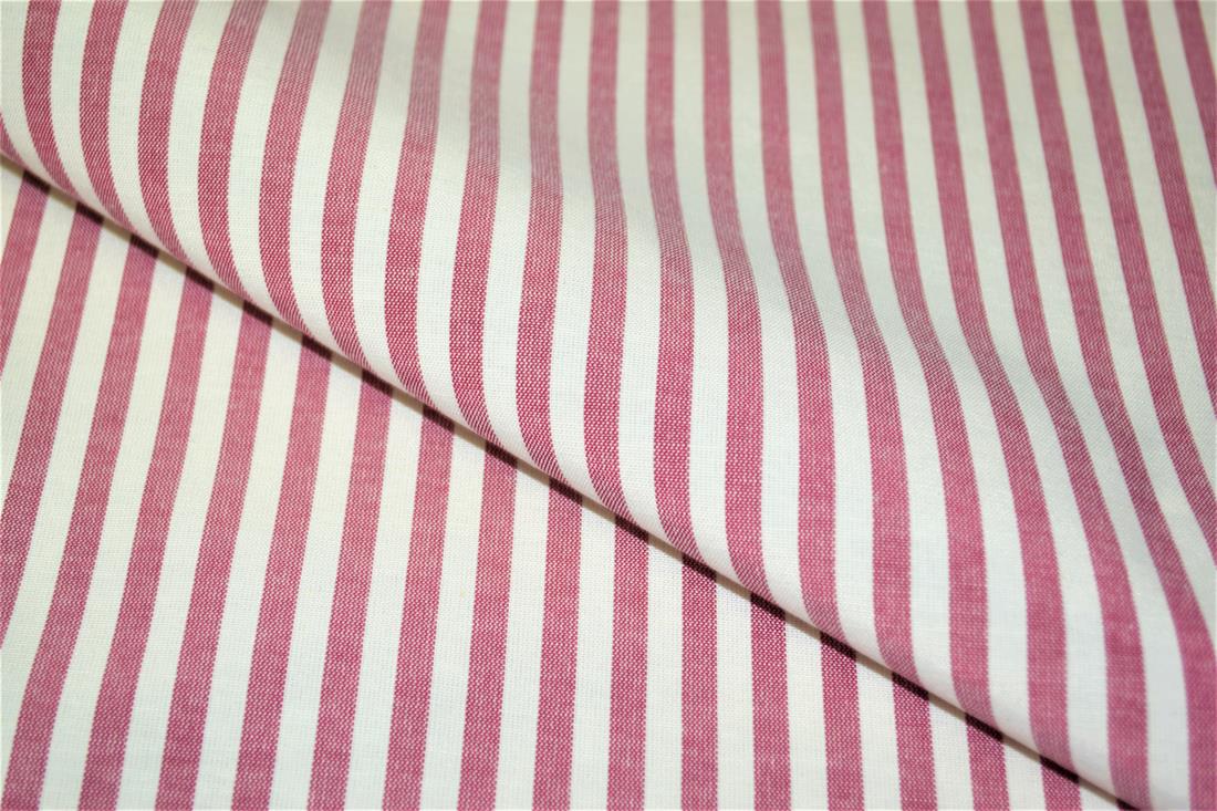 Printed Thin Stripes Canvas Fabric