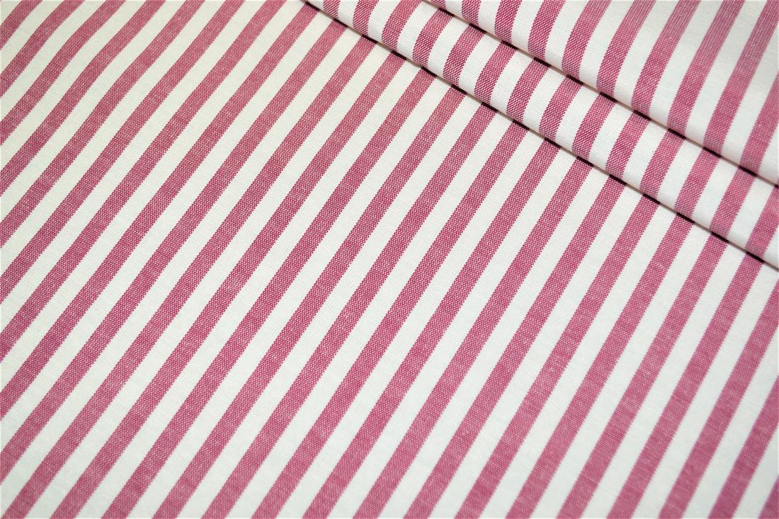 Printed Thin Stripes Canvas Fabric