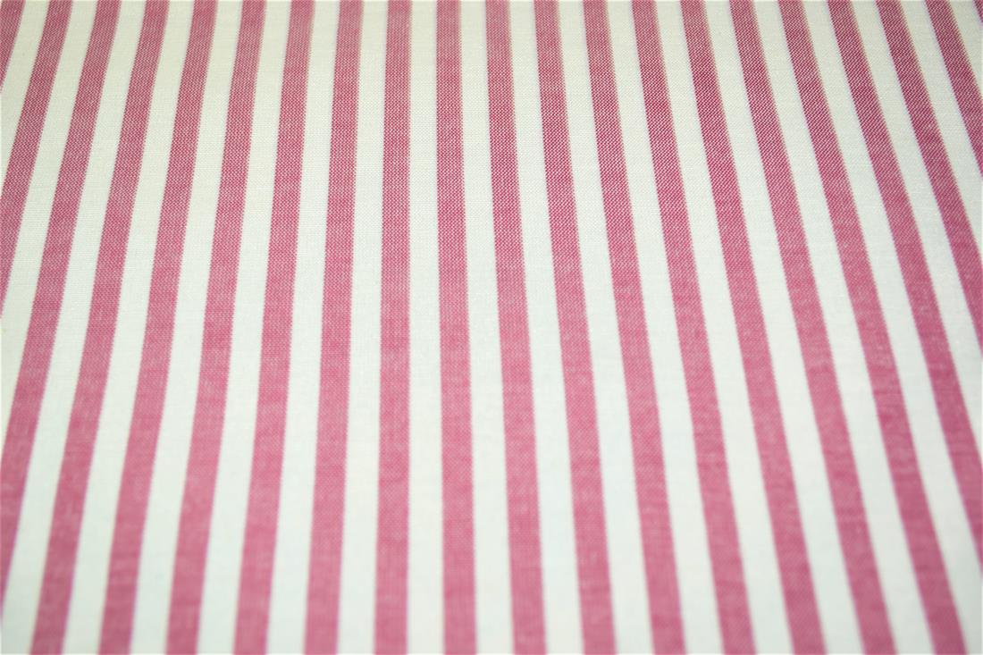 Printed Thin Stripes Canvas Fabric