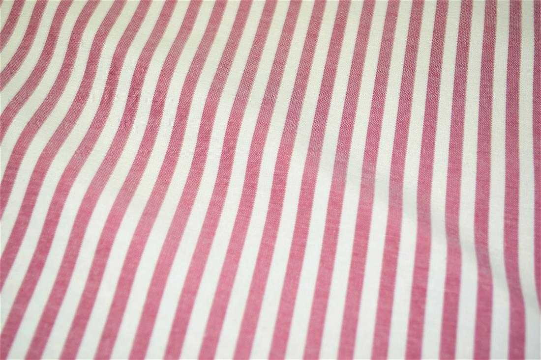 Printed Thin Stripes Canvas Fabric