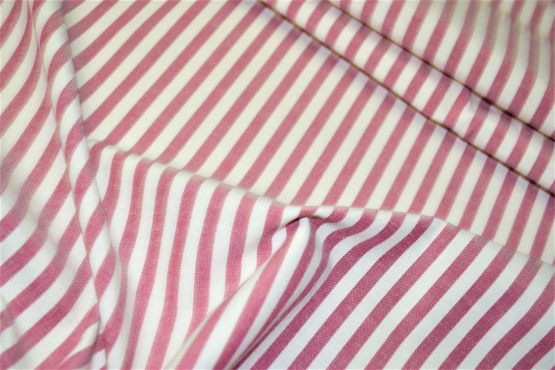 Printed Thin Stripes Canvas Fabric