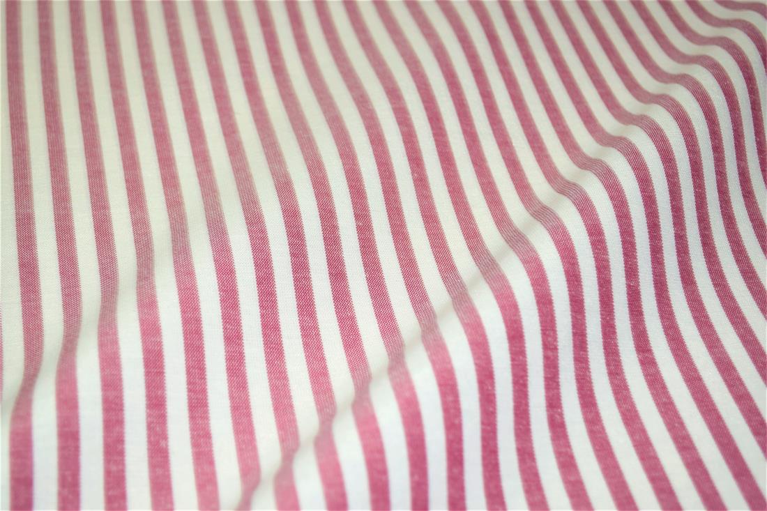 Printed Thin Stripes Canvas Fabric