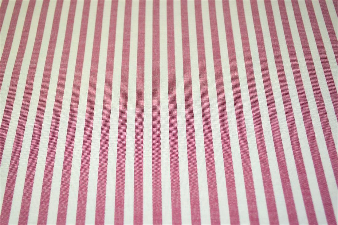 Printed Thin Stripes Canvas Fabric