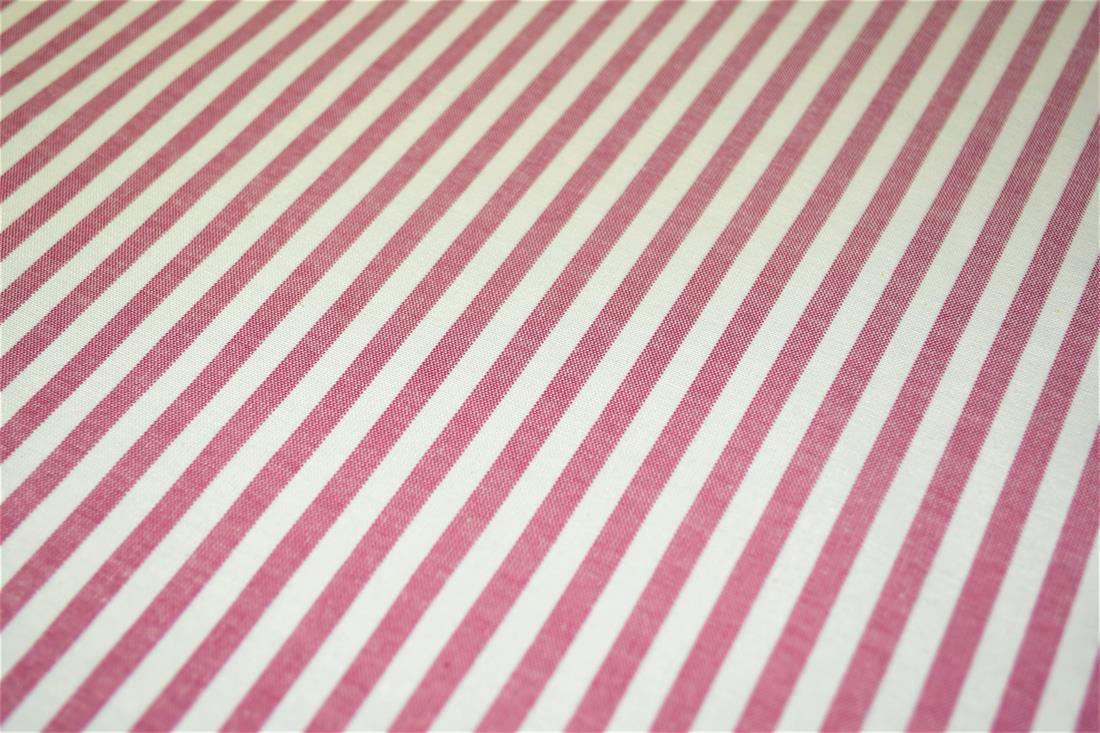 Printed Thin Stripes Canvas Fabric