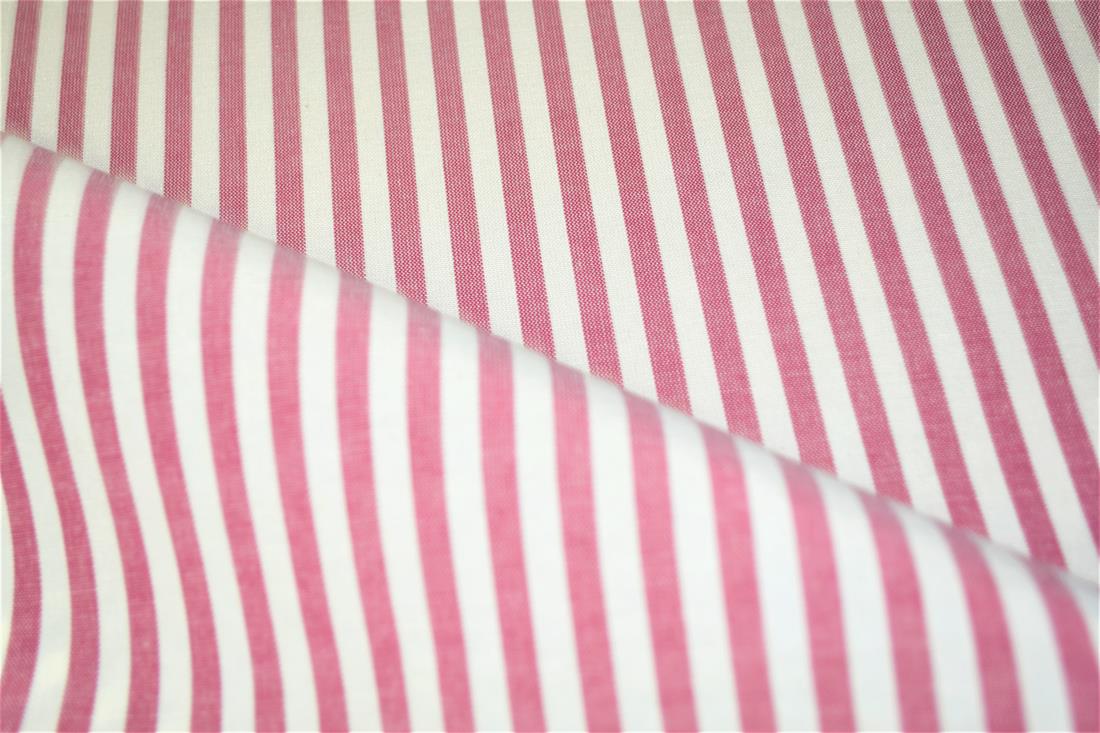 Printed Thin Stripes Canvas Fabric