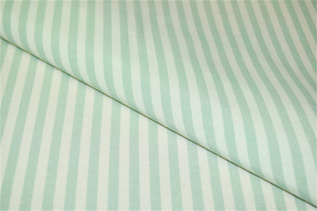 Printed Thin Stripes Canvas Fabric