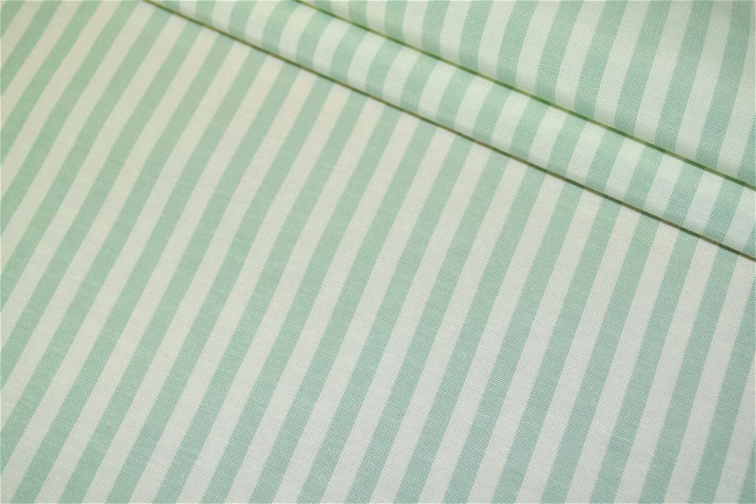 Printed Thin Stripes Canvas Fabric