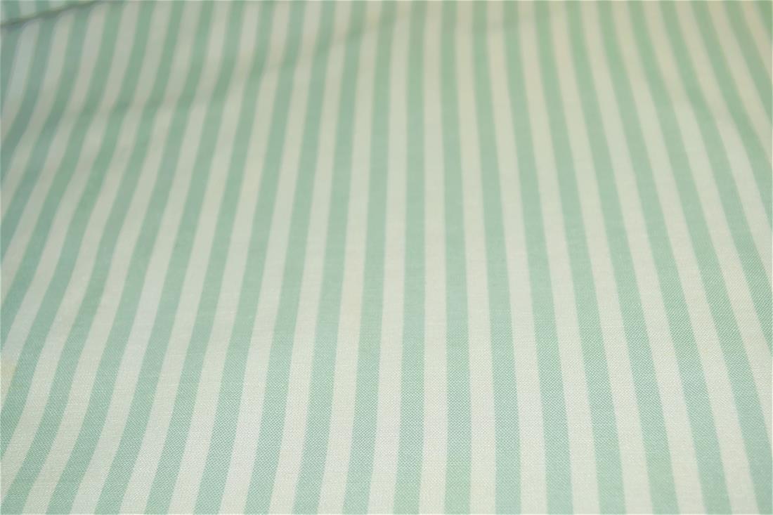 Printed Thin Stripes Canvas Fabric