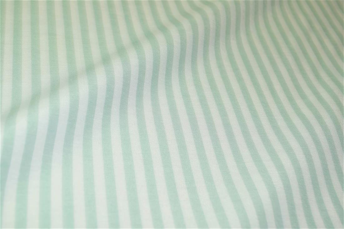 Printed Thin Stripes Canvas Fabric