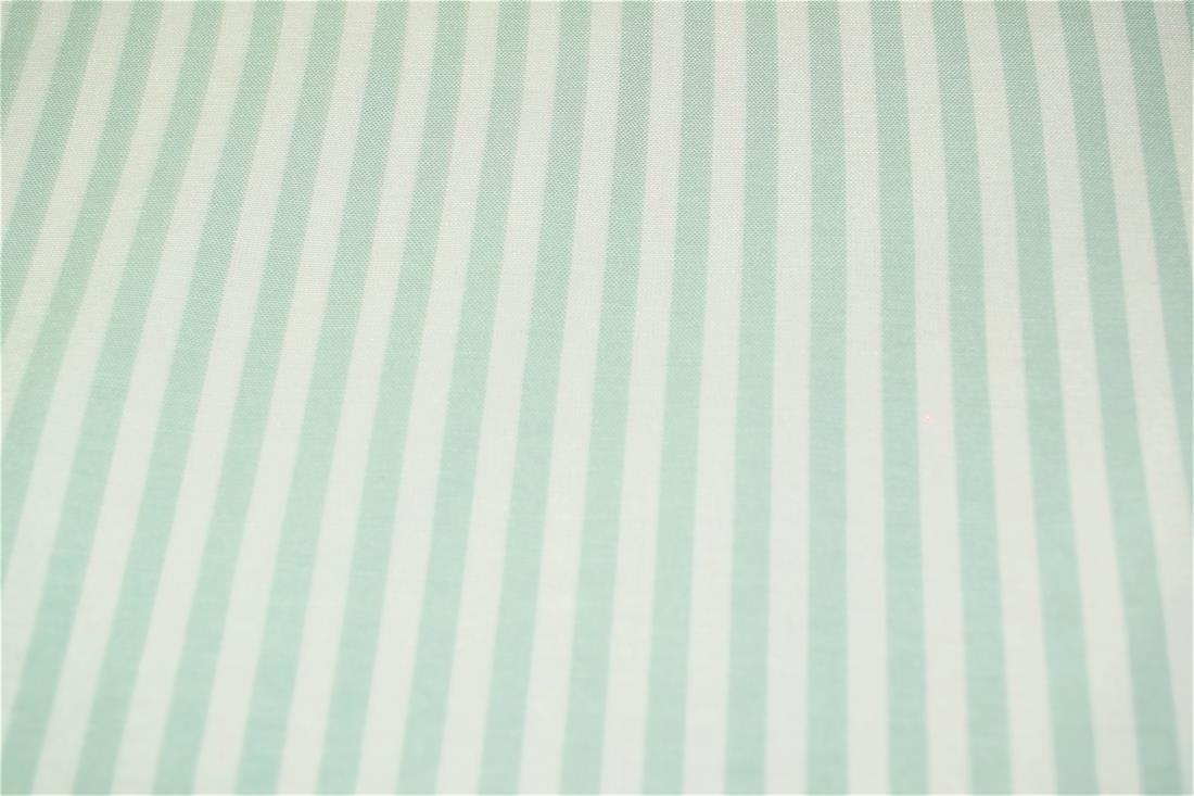 Printed Thin Stripes Canvas Fabric