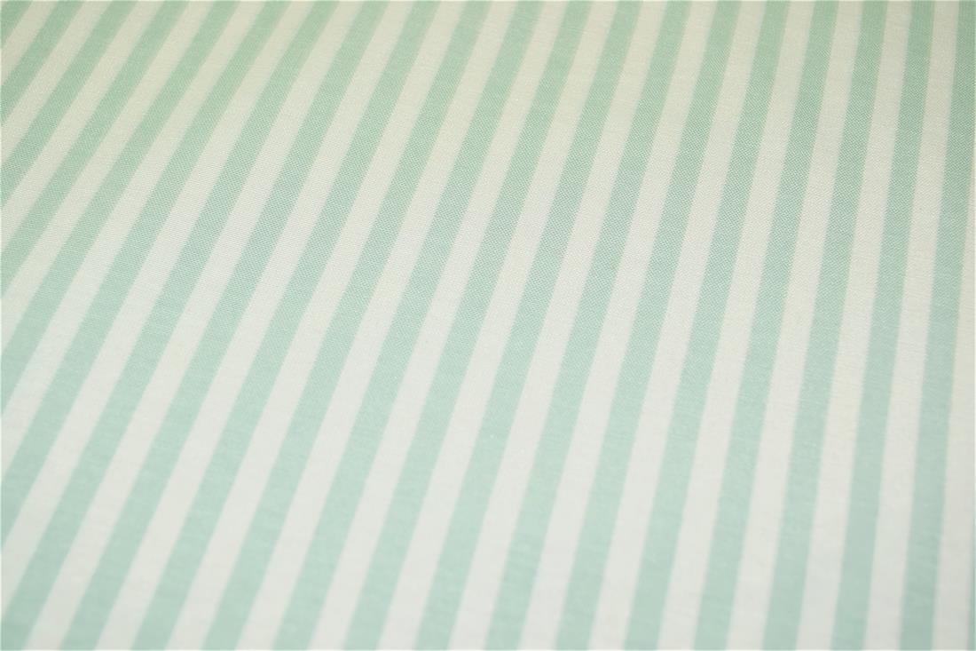 Printed Thin Stripes Canvas Fabric
