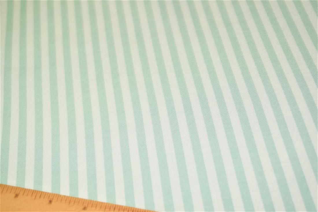 Printed Thin Stripes Canvas Fabric