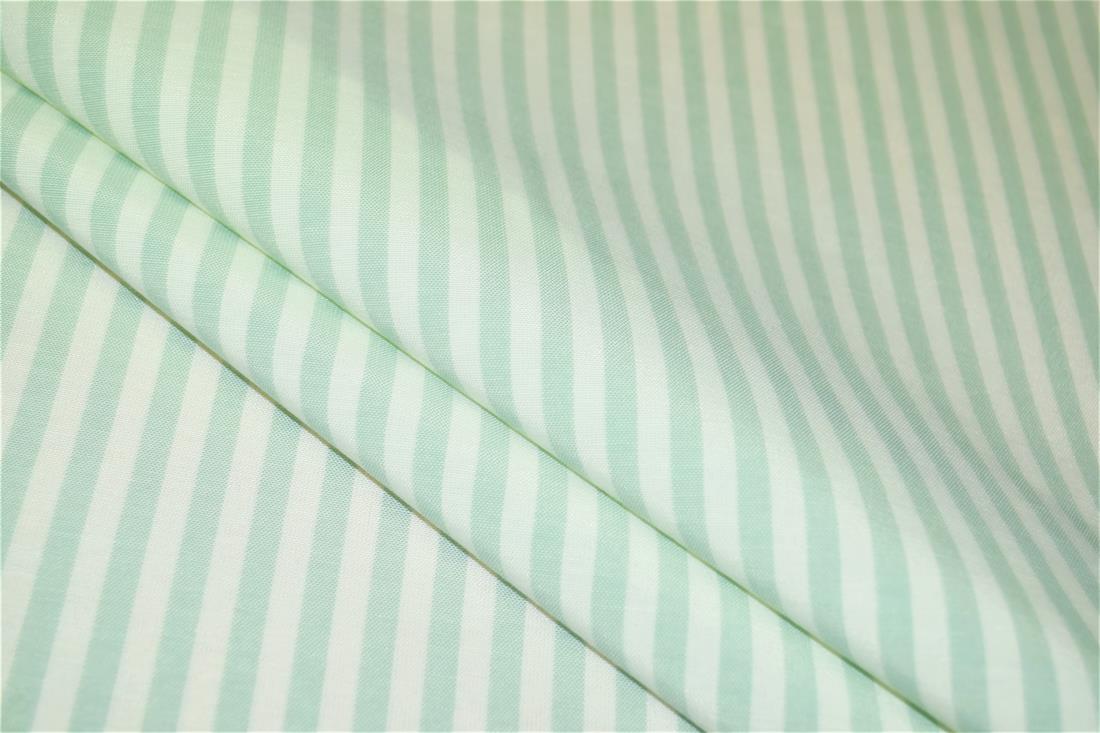 Printed Thin Stripes Canvas Fabric