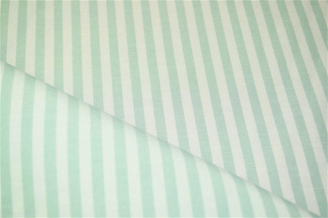 Printed Thin Stripes Canvas Fabric
