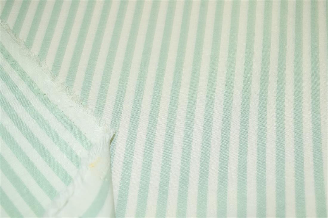 Printed Thin Stripes Canvas Fabric